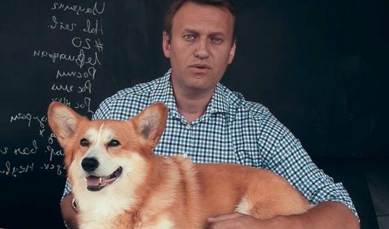 По гороскопу Алексей Навальный Близнецы, а по восточному календарю - Дракон